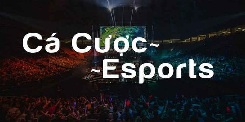 Ưu điểm nổi bật của sảnh DB Esports tại I9Bet